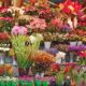 Ultimate Guide on Choosing Flower Gifts for Any Occasion
